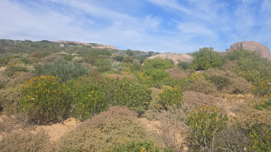 0 Bedroom Property for Sale in St Helena Views Western Cape